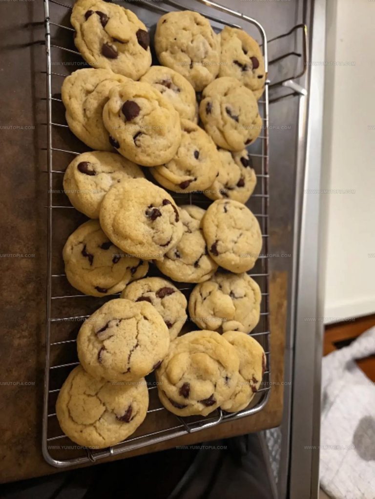 Sourdough Chocolate Chip Cookies Recipe
