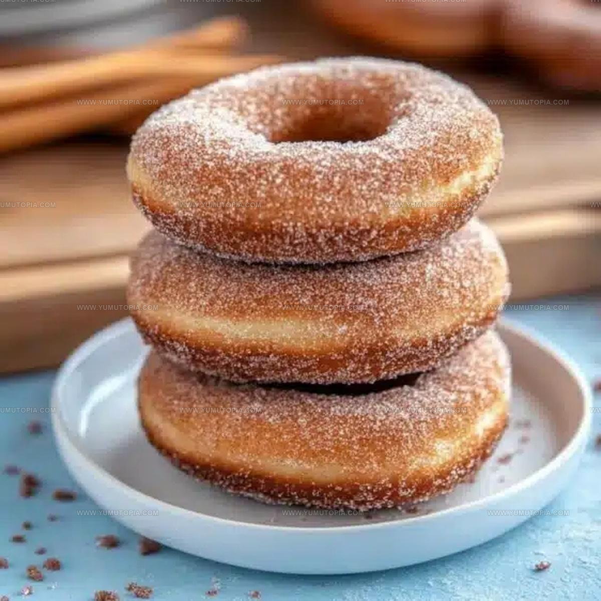 Baked-Style Cinnamon Sugar Donuts Recipe
