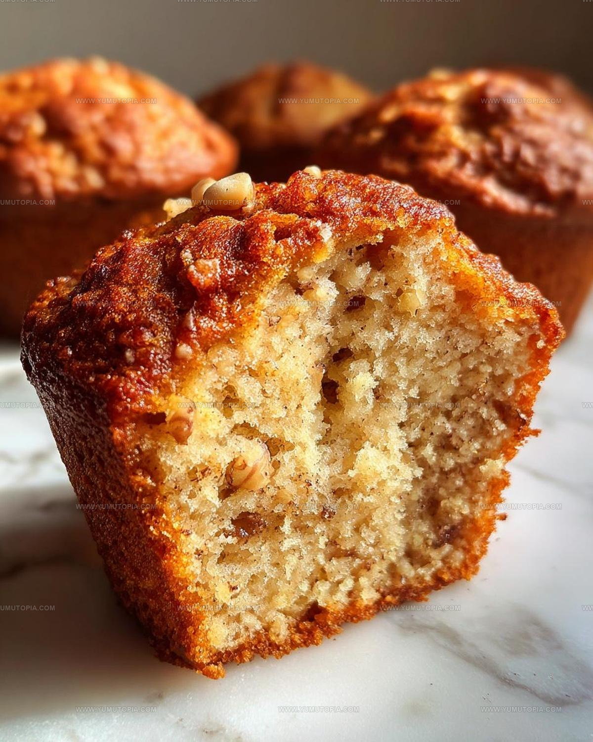 Applesauce Muffins Recipe