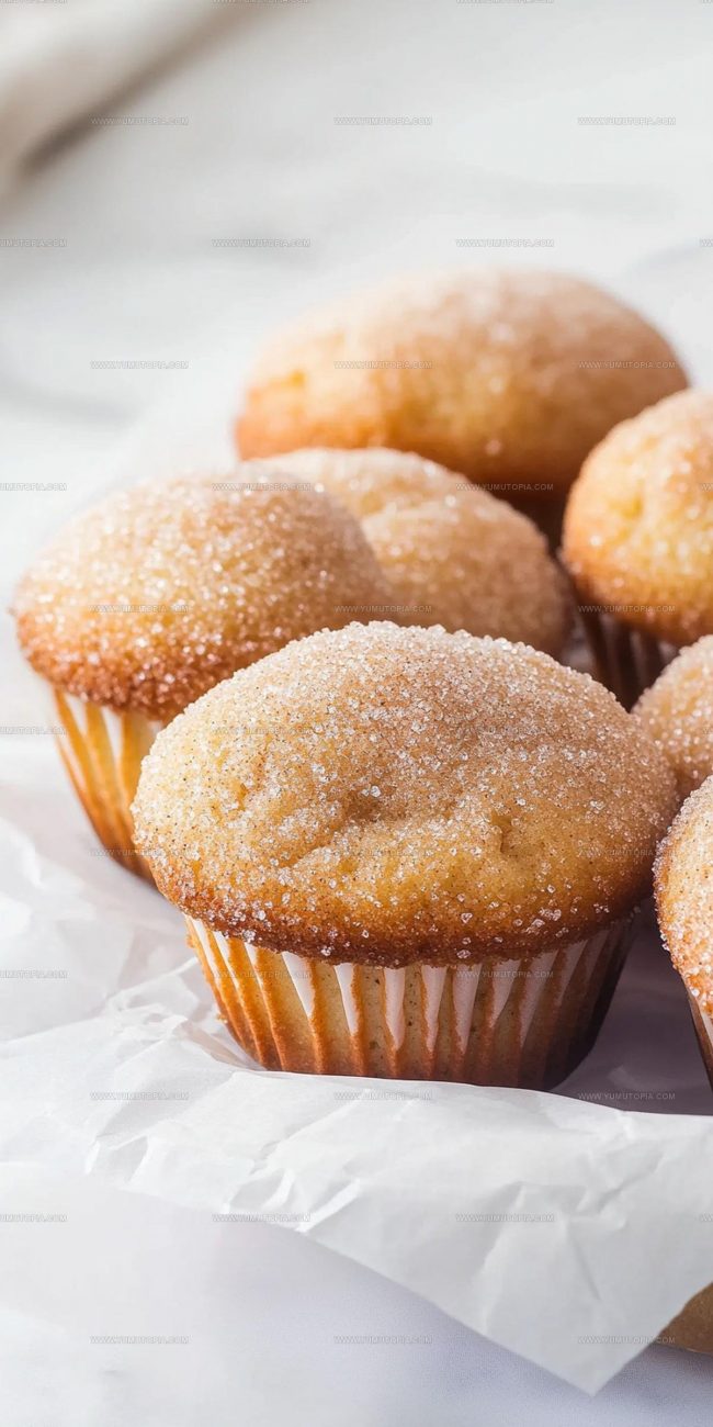 Standout Features Of Cinnamon Sugar Muffins