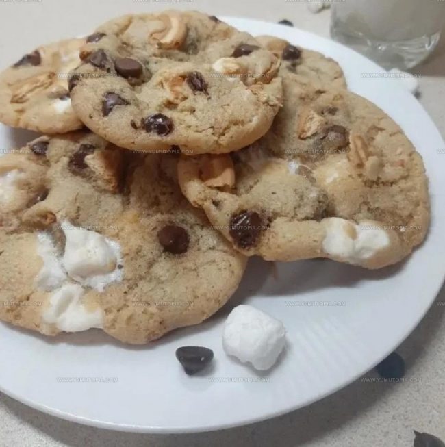 What Makes Cookie Smores So Fun