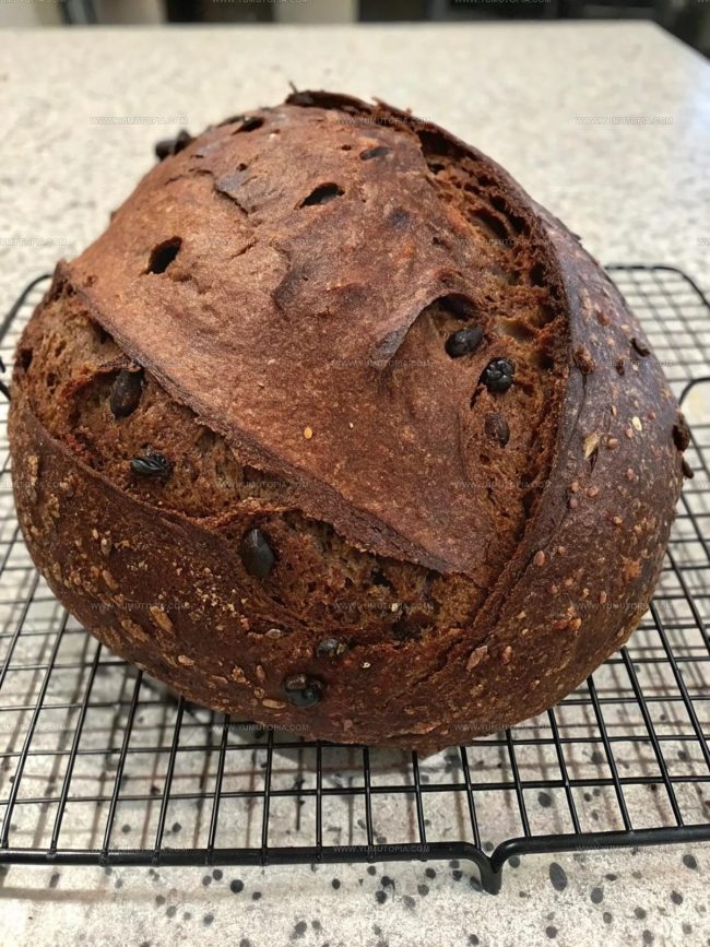 What Makes Chocolate Sourdough Bread Special